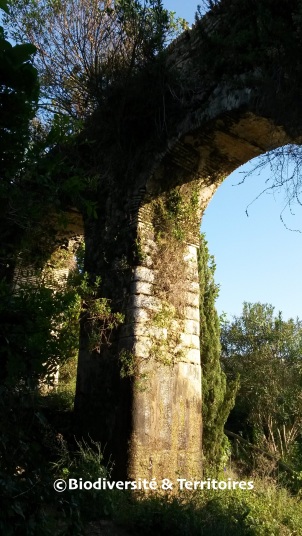 Aqueduc Romain, Vejer de la Frontera, Andalousie, Espagne